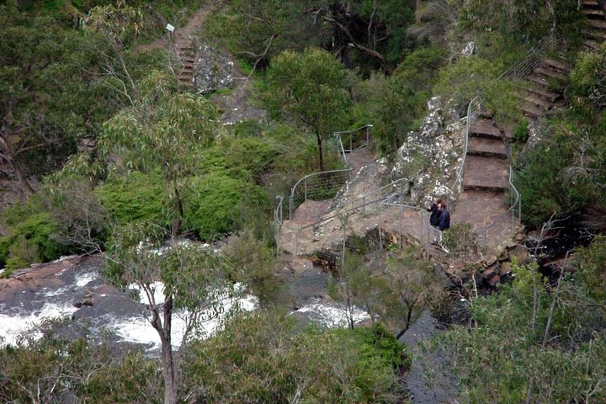 una persona subiendo una escalera en un bosque