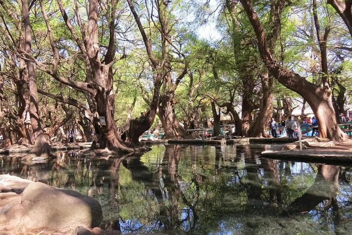 egy park fákkal és vízzel, ahol emberek sétálnak