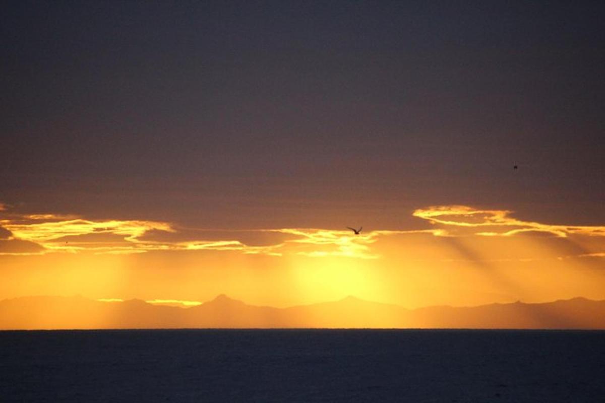 Západ slunce nad oceánem s ptákem na obloze