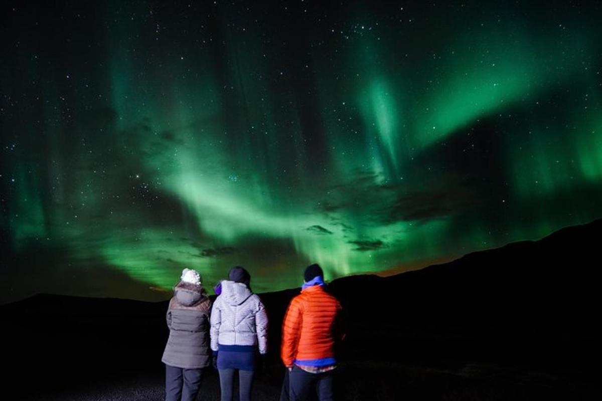 um grupo de pessoas olhando para a aurora boreal