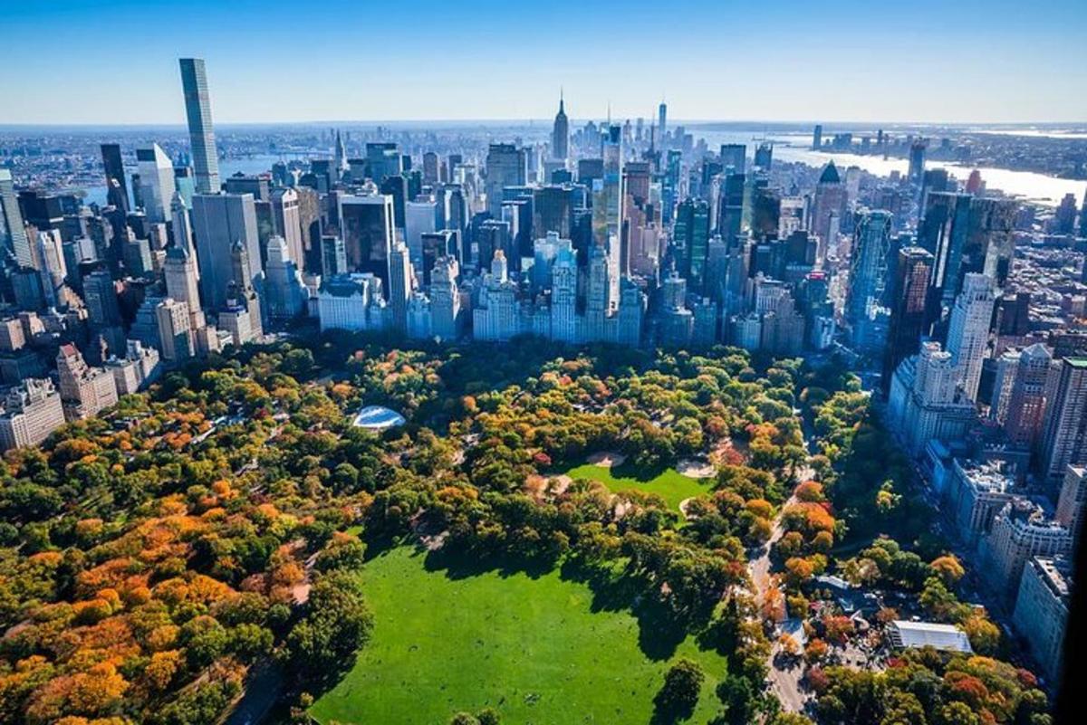 an aerial view of a city with a park