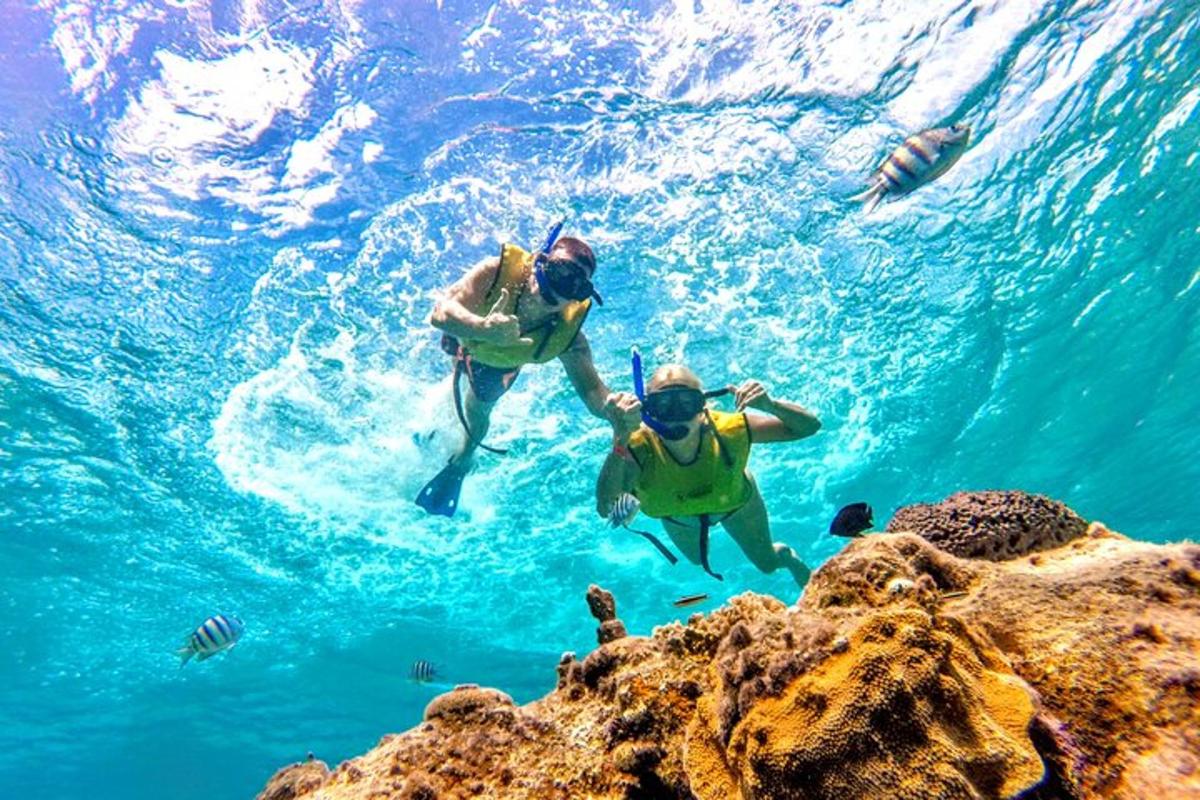 due persone che nuotano nell'acqua vicino a una barriera corallina