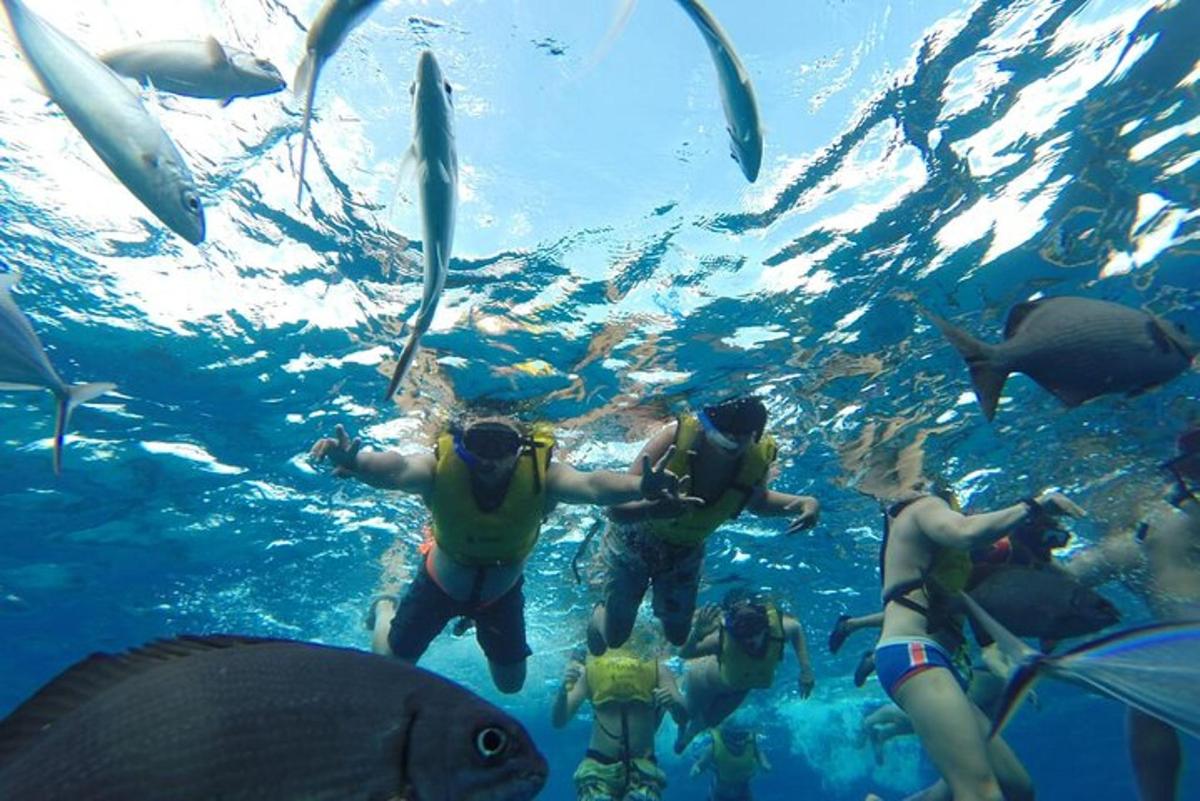 eine Gruppe von Menschen, die mit Fischen im Wasser schwimmen