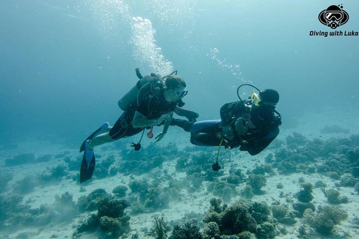 due persone stanno facendo immersioni subacquee nell'oceano