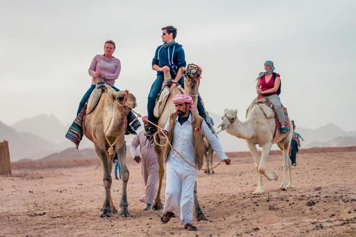 a group of people riding on camels in the desert