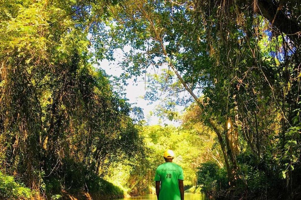 Un hombre con una camisa verde caminando por un bosque.