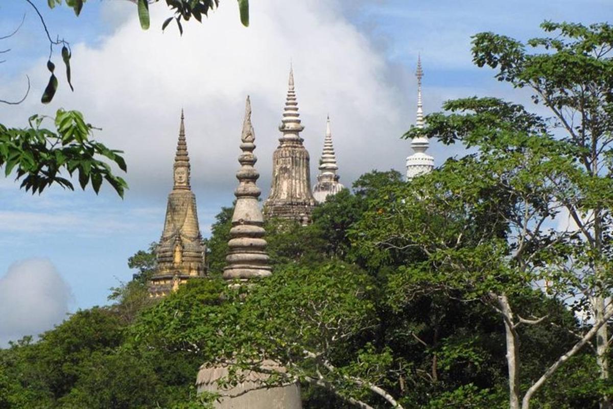 un grupo de pagodas en la cima de un árbol