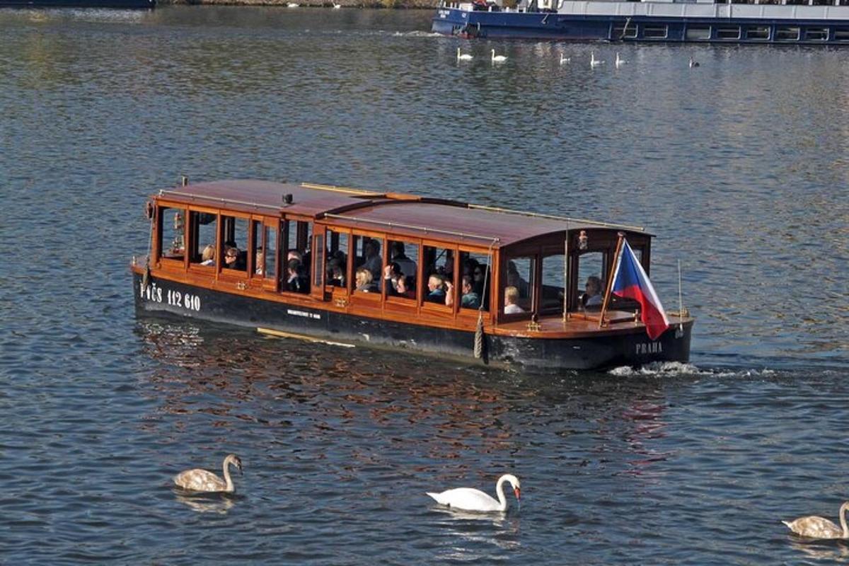 čoln poln ljudi na vodi z labodi