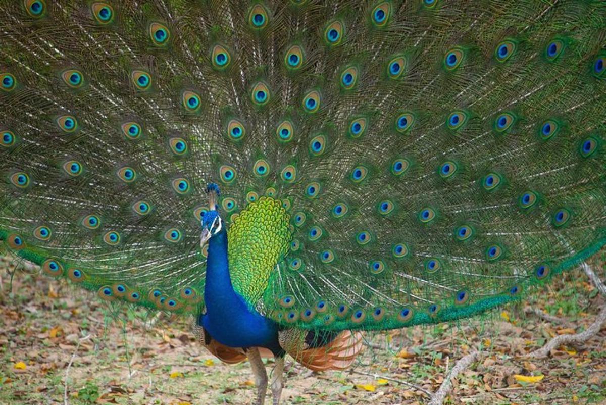 Fotografie atrakce č. 2