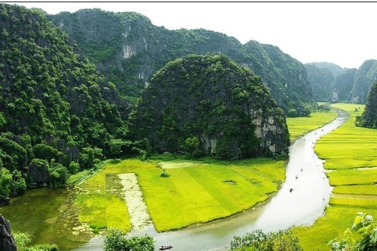 a river in the middle of a valley with trees