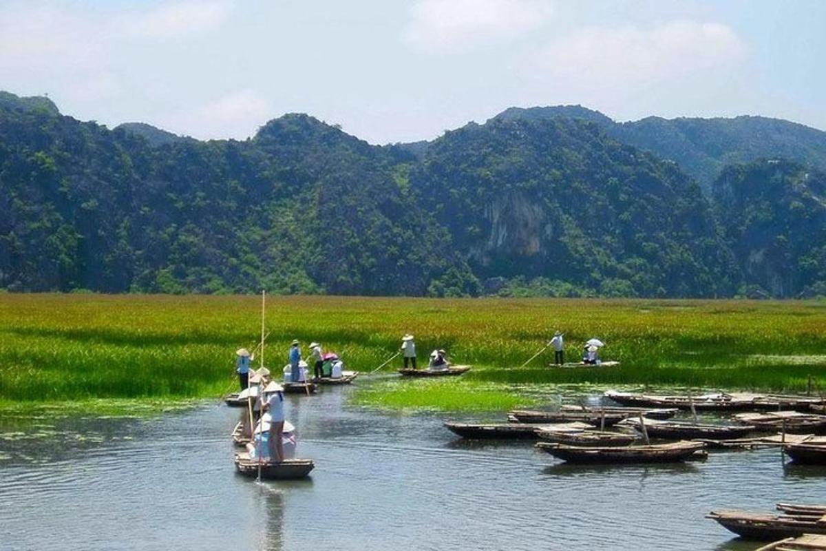 a group of boats sitting in a body of water