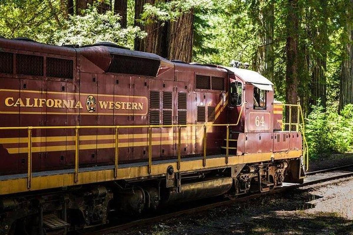 a red train on the tracks in a forest