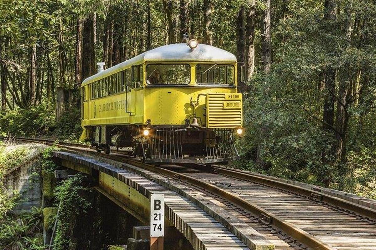 a yellow train on the tracks in the forest