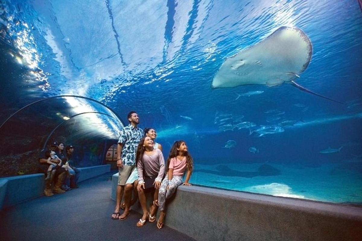 Attraction picture 3