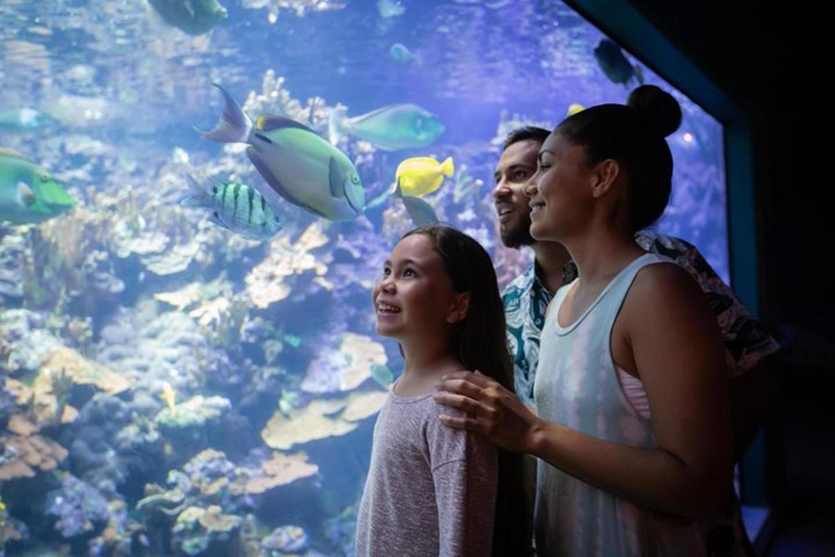 Attraction picture 4