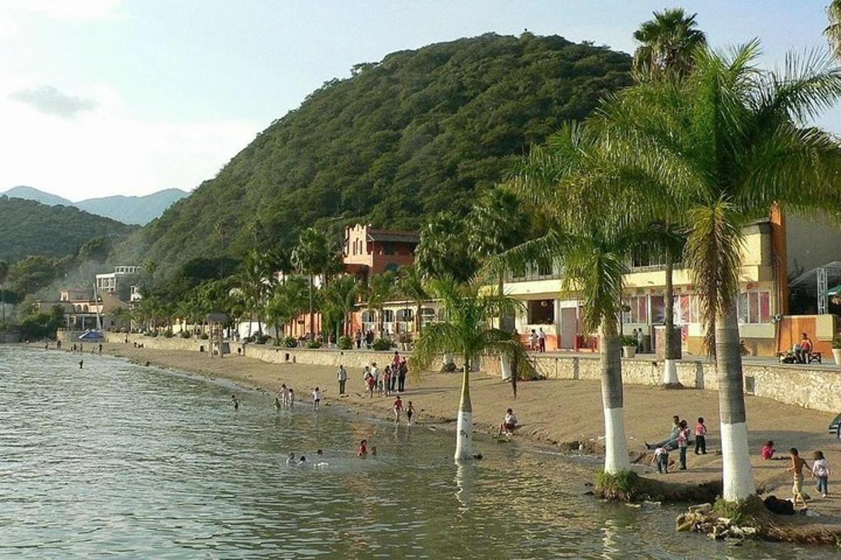 un grup de oameni pe o plajă cu palmieri