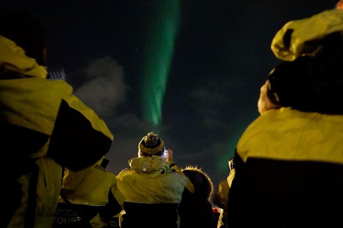 a group of people looking up at the northern lights