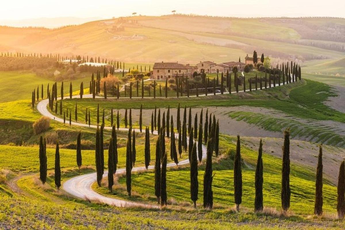 una strada tortuosa in un campo con cipressi