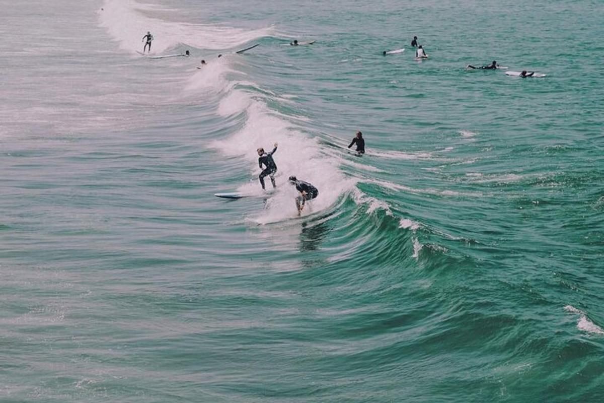 a group of people on surfboards and a dog riding a wave