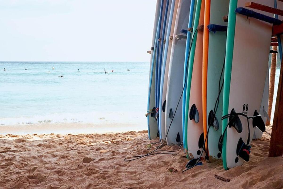 a row of surfboards sitting in the sand on the beach