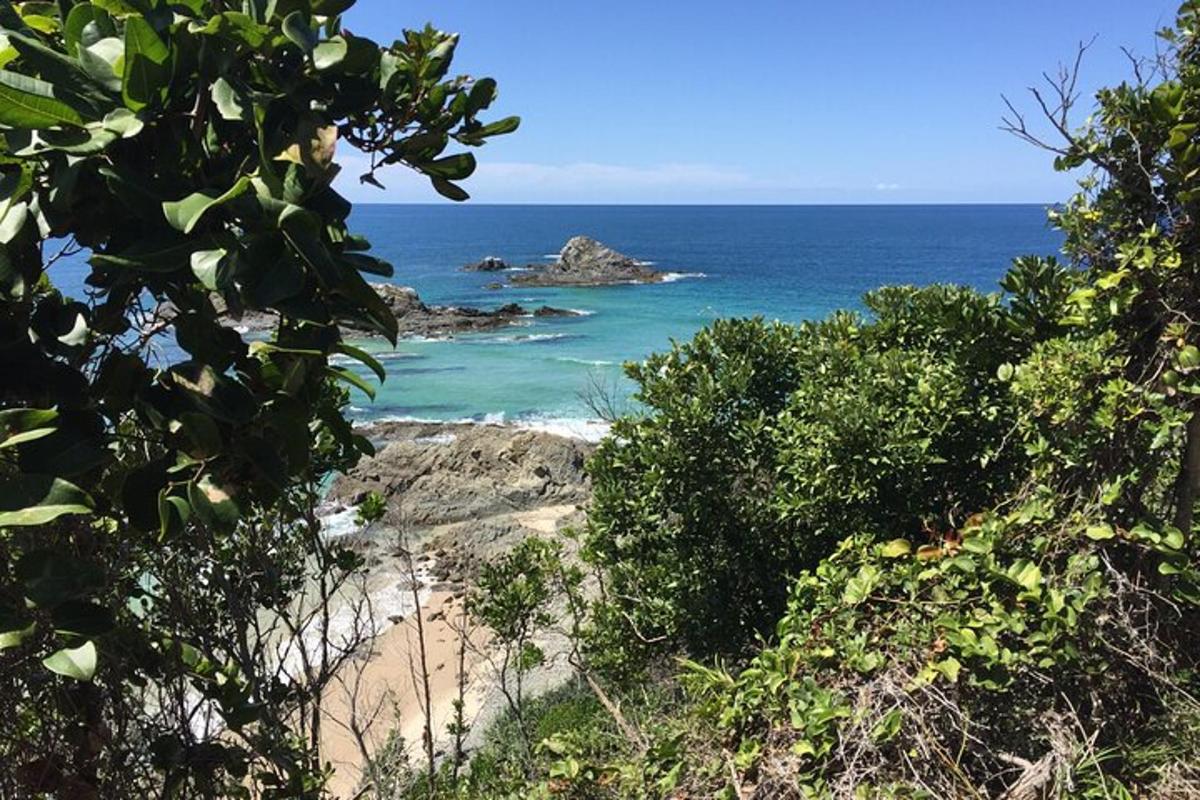 a view of the ocean from a beach with trees