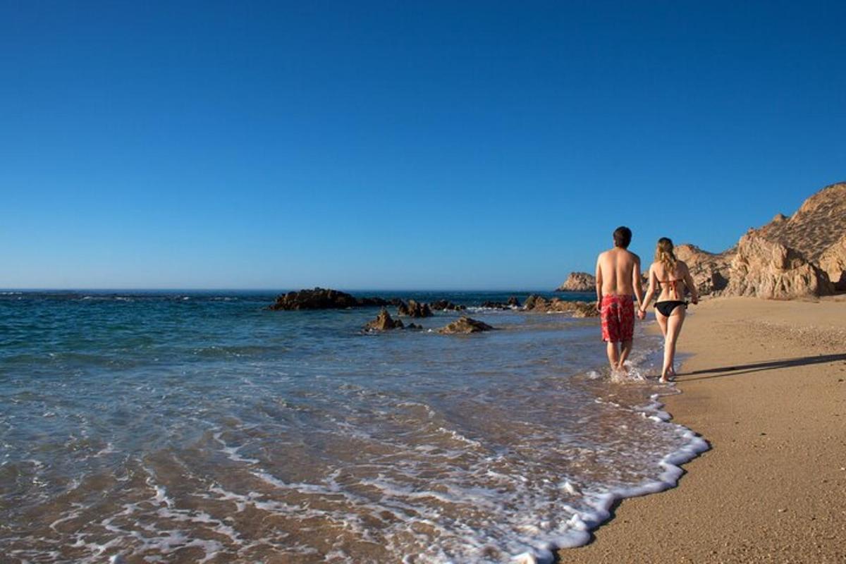 moški in ženska, ki se sprehajata po plaži