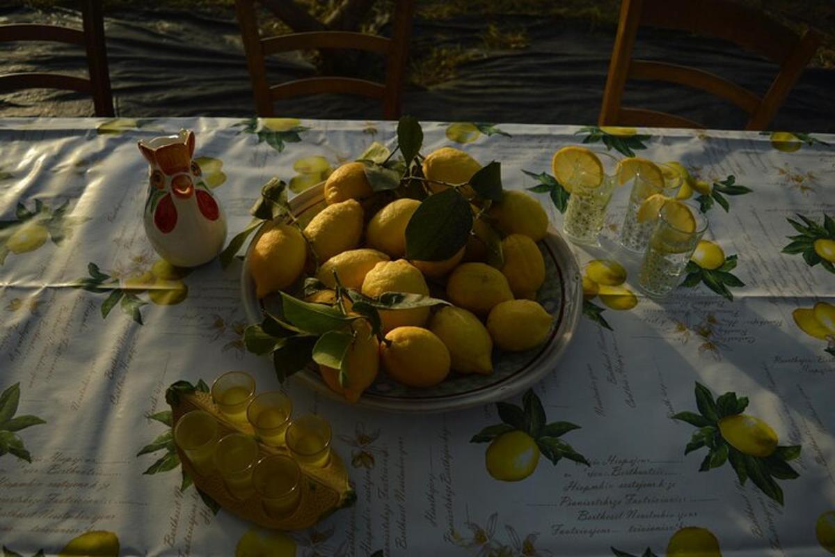 semangkuk lemon di atas meja