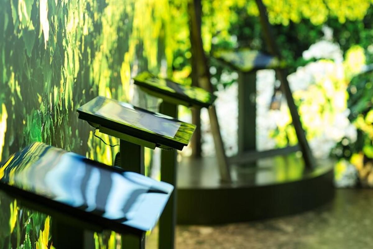 two benches sitting next to each other in a park