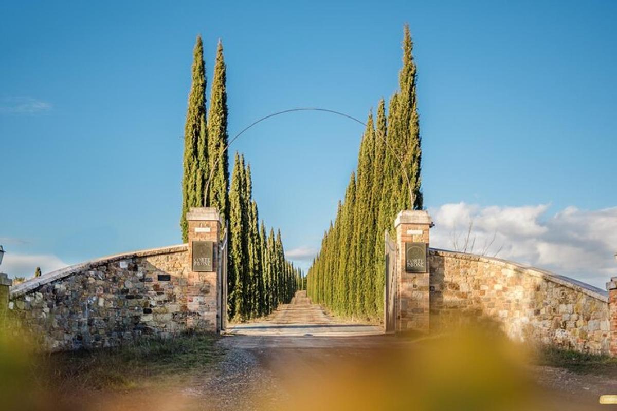 Un muro de piedra con una hilera de árboles sobre él.
