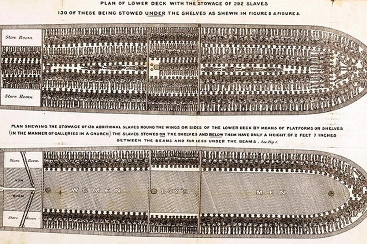 a page of a catalogue of a hair cutting machine