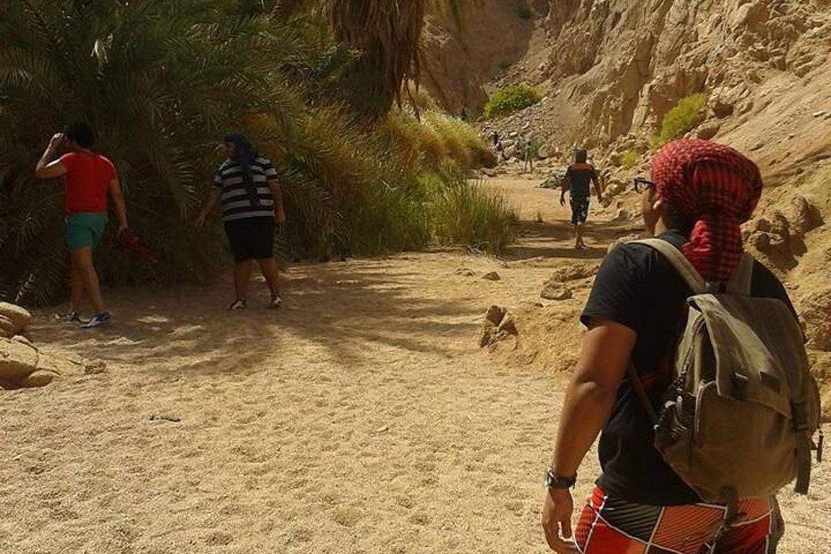 a group of people walking on a dirt road