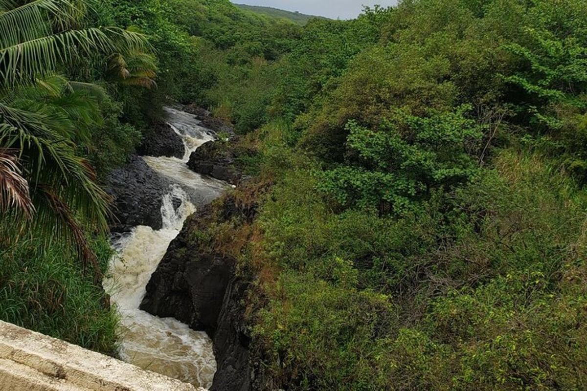 un fiume in mezzo a una collina con alberi