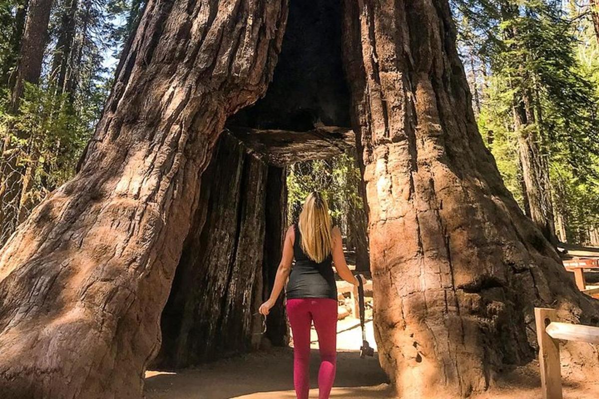 a woman standing in front of a large tree