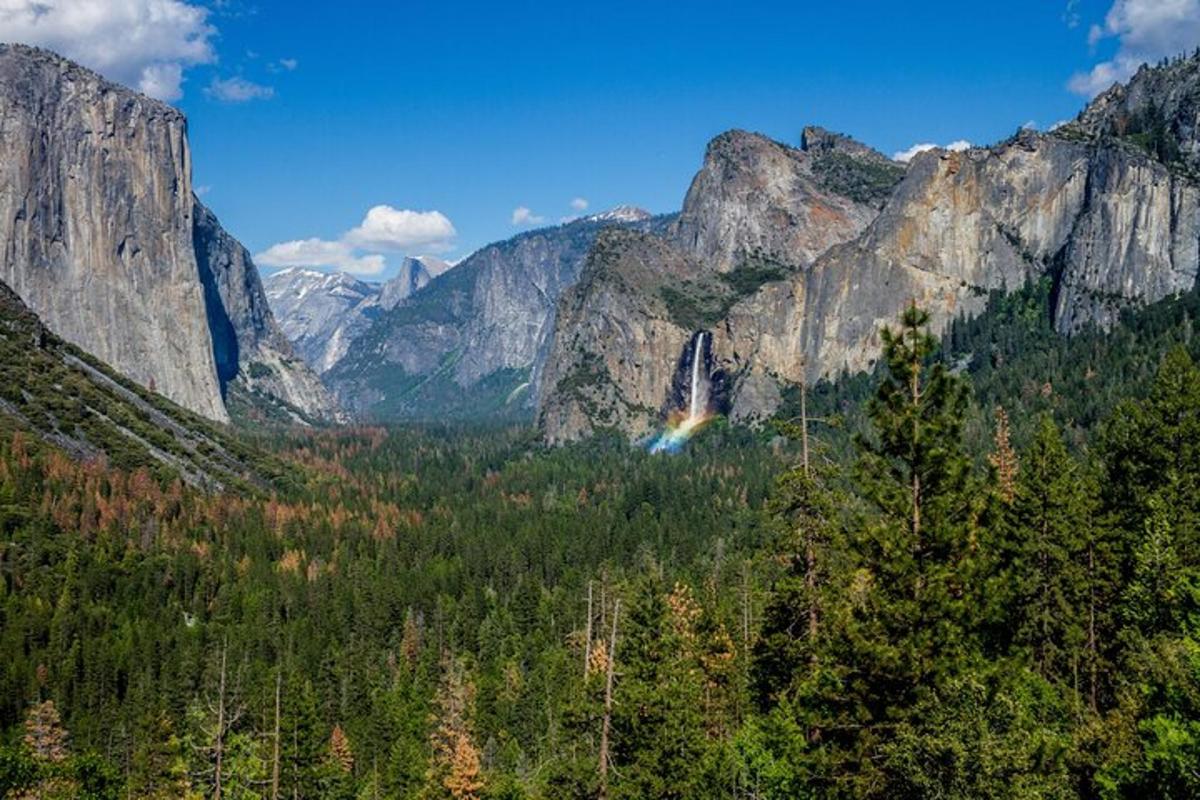 a waterfall in the middle of a forest with mountains