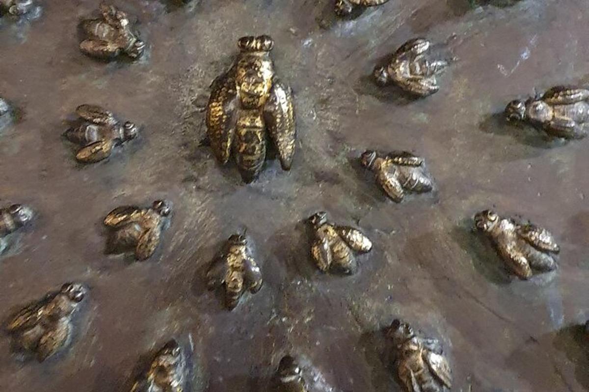 hópur af kastaníum sitjandi á jörðinni