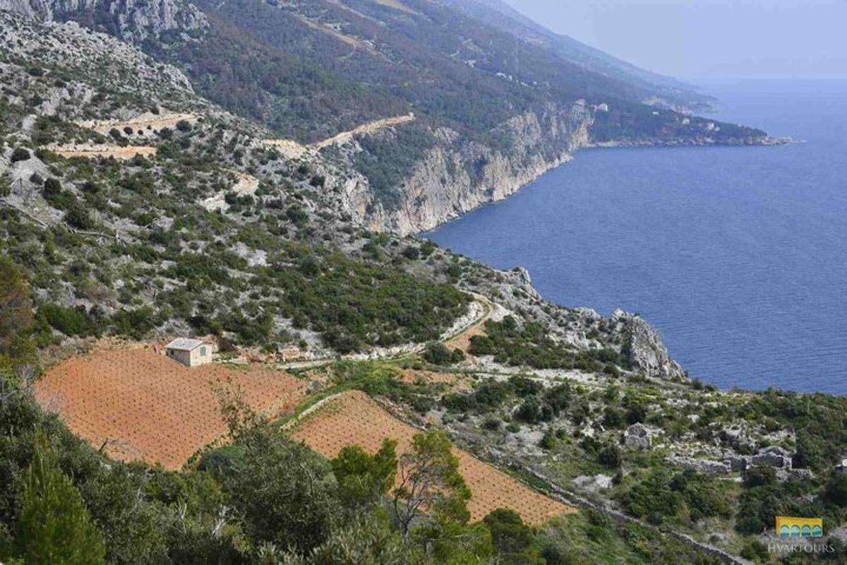 an aerial view of a hillside with the ocean