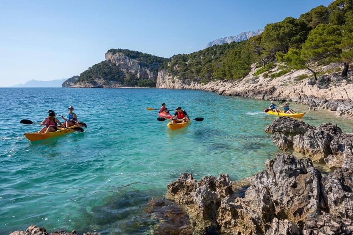 a group of people kayaking on a body of water