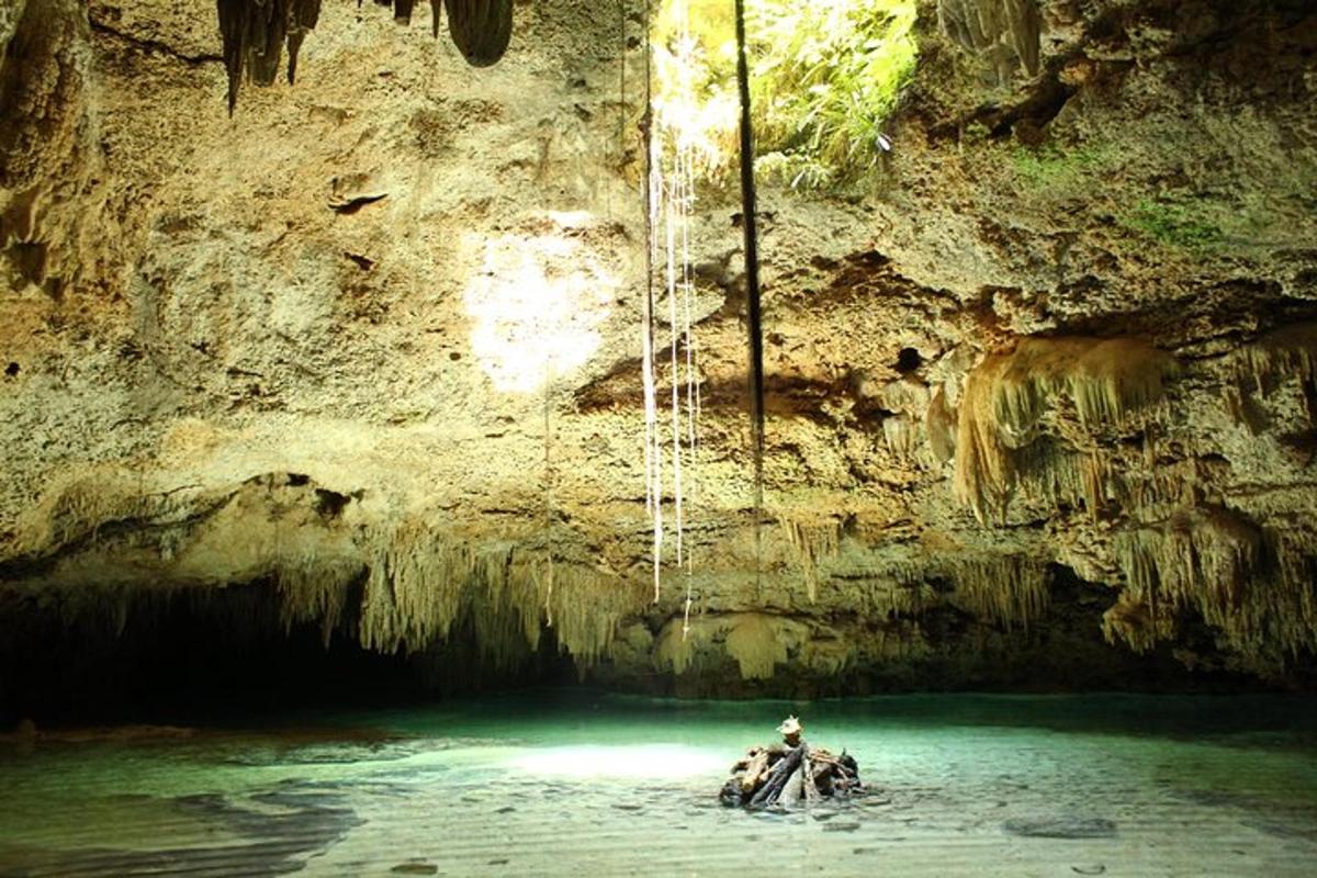 a group of elephants in the water in a cave