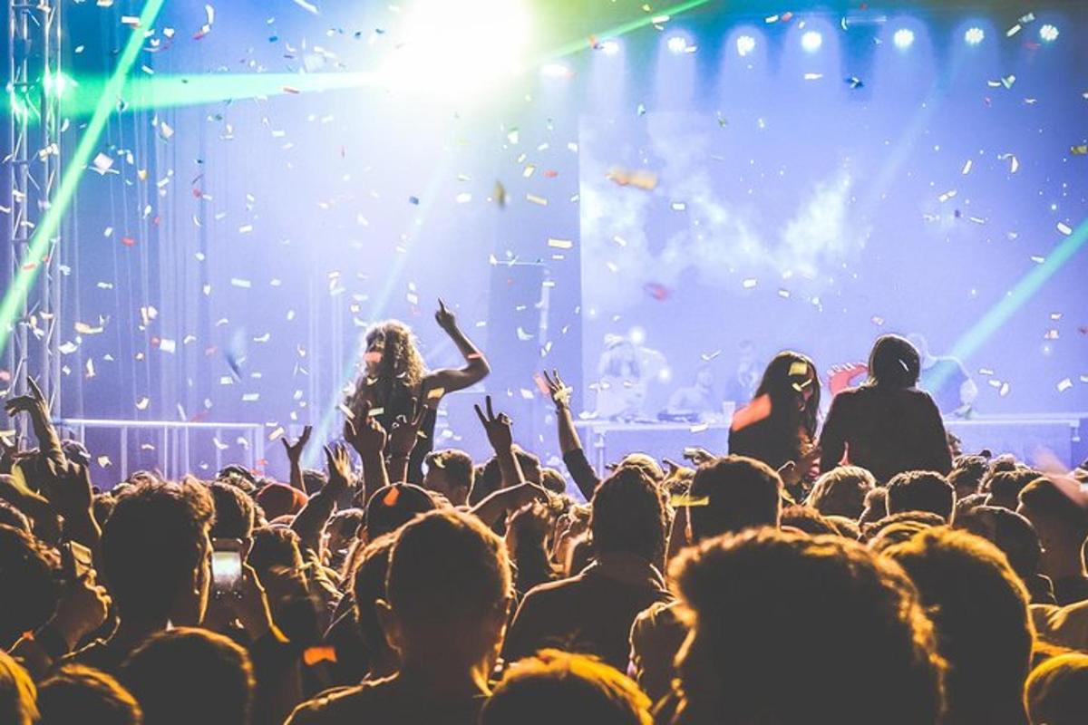 gomila ljudi koja gleda koncert