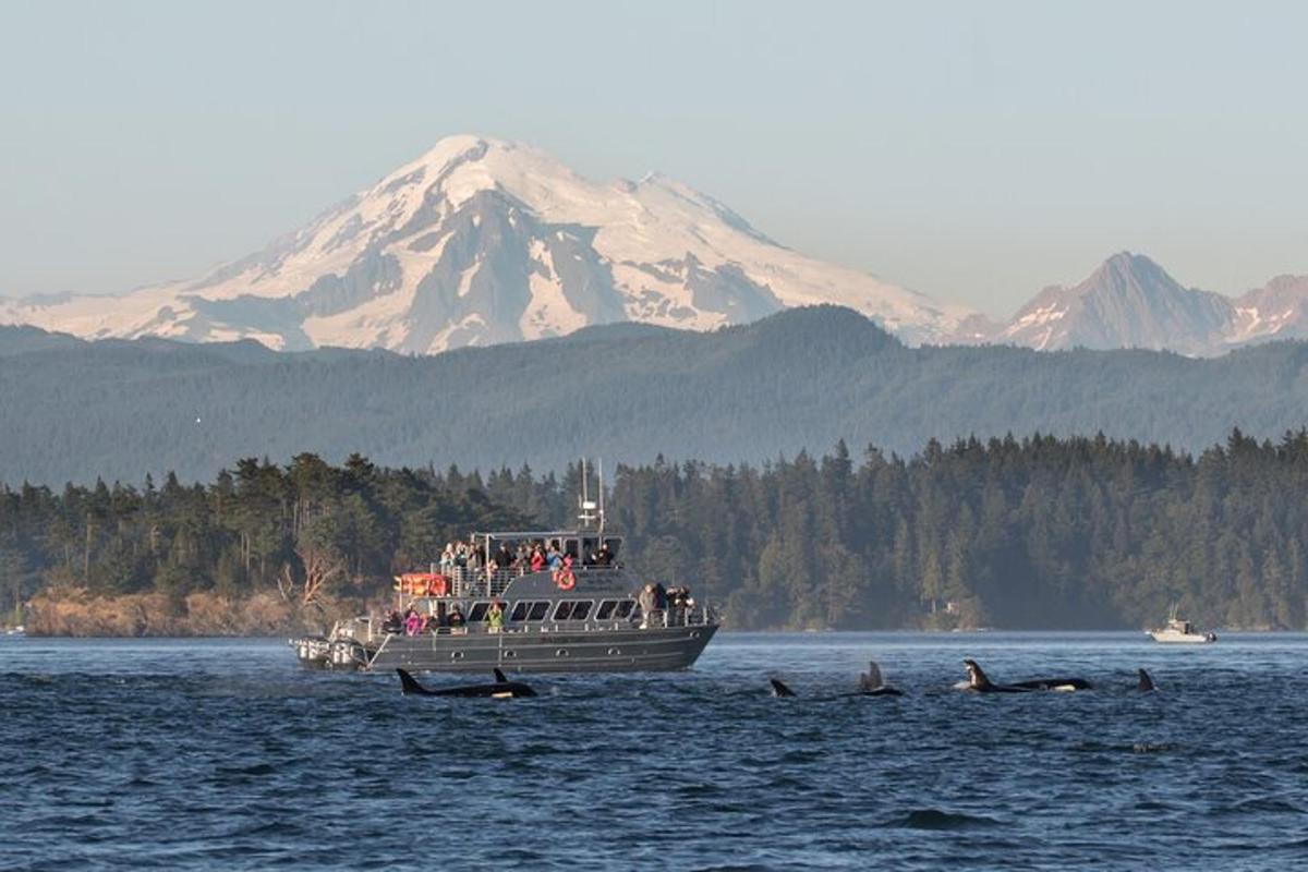 a group of people on a boat in the water