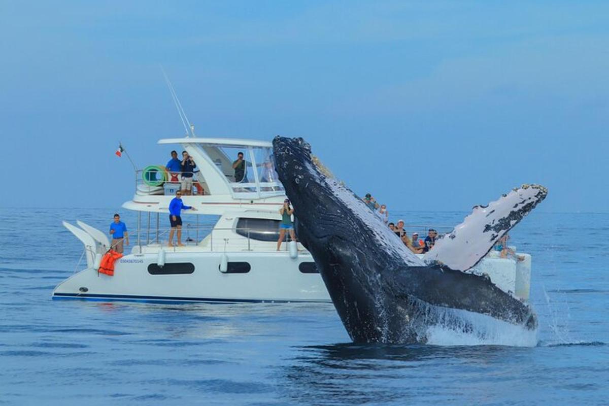 una balena che salta fuori dall'acqua accanto a una barca
