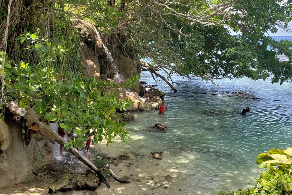 un gruppo di persone che nuotano in uno specchio d'acqua