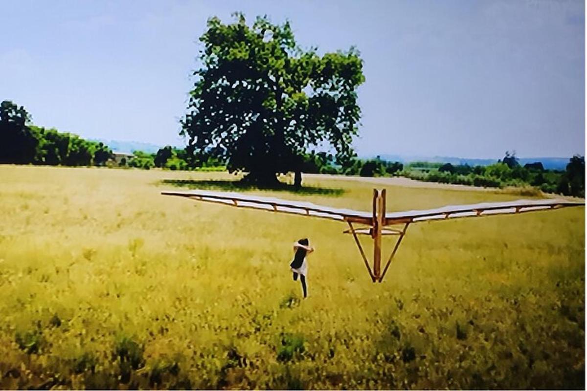Una persona está parada junto a un avión en un campo.