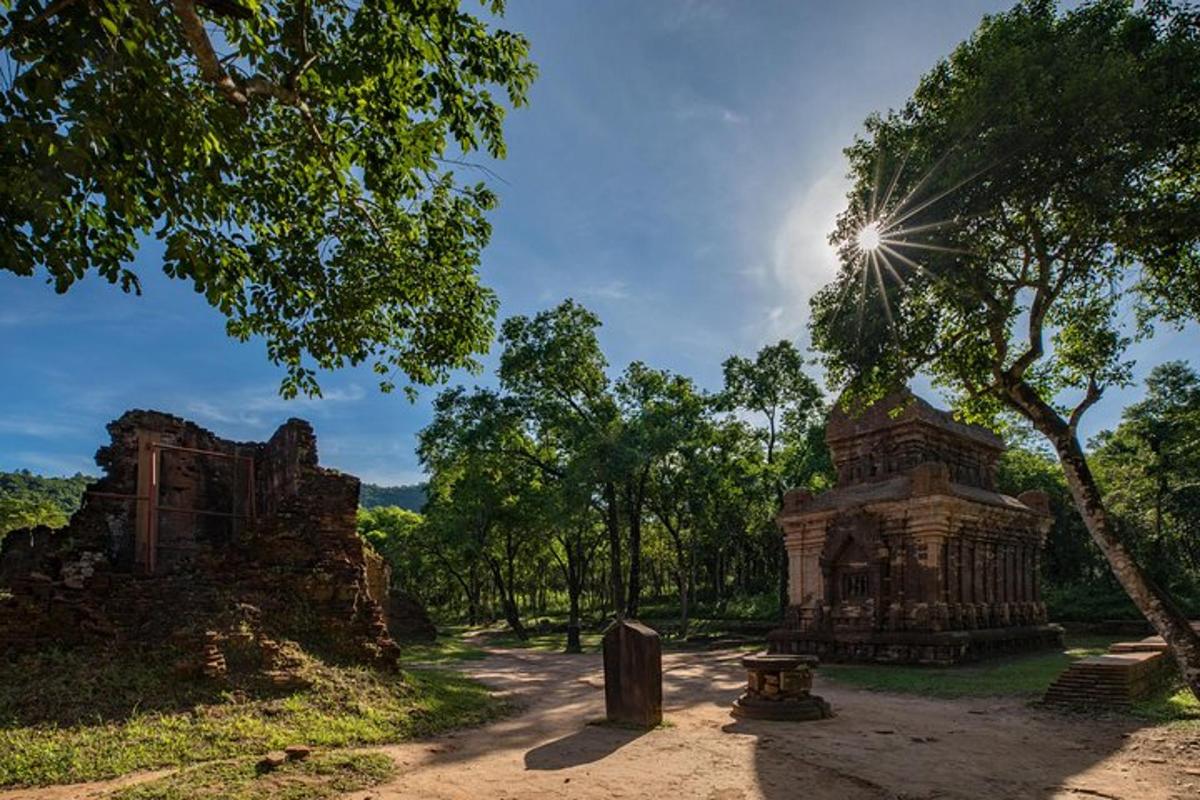 sebuah taman dengan bangku dan pepohonan serta matahari