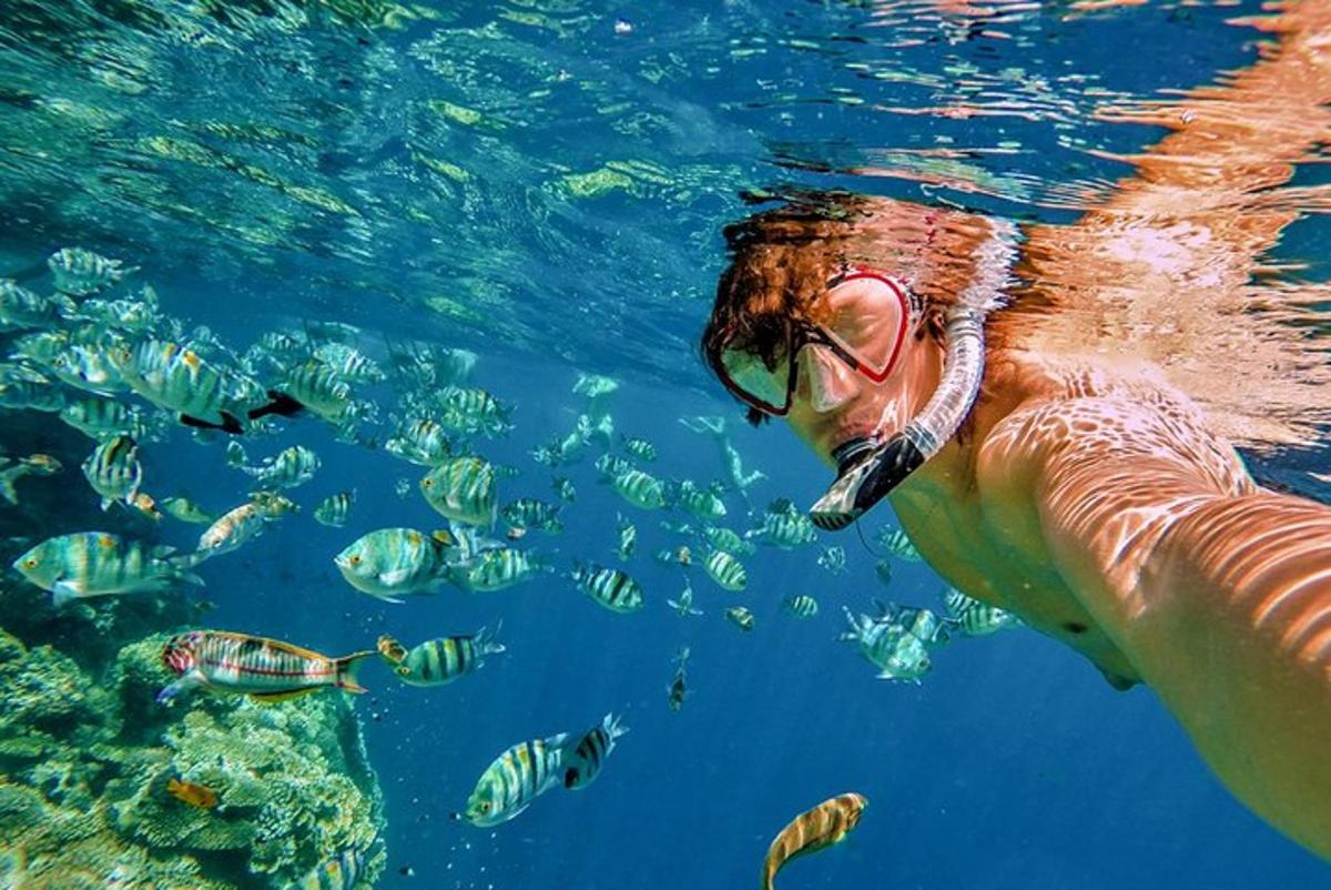 una persona in acqua che guarda i pesci