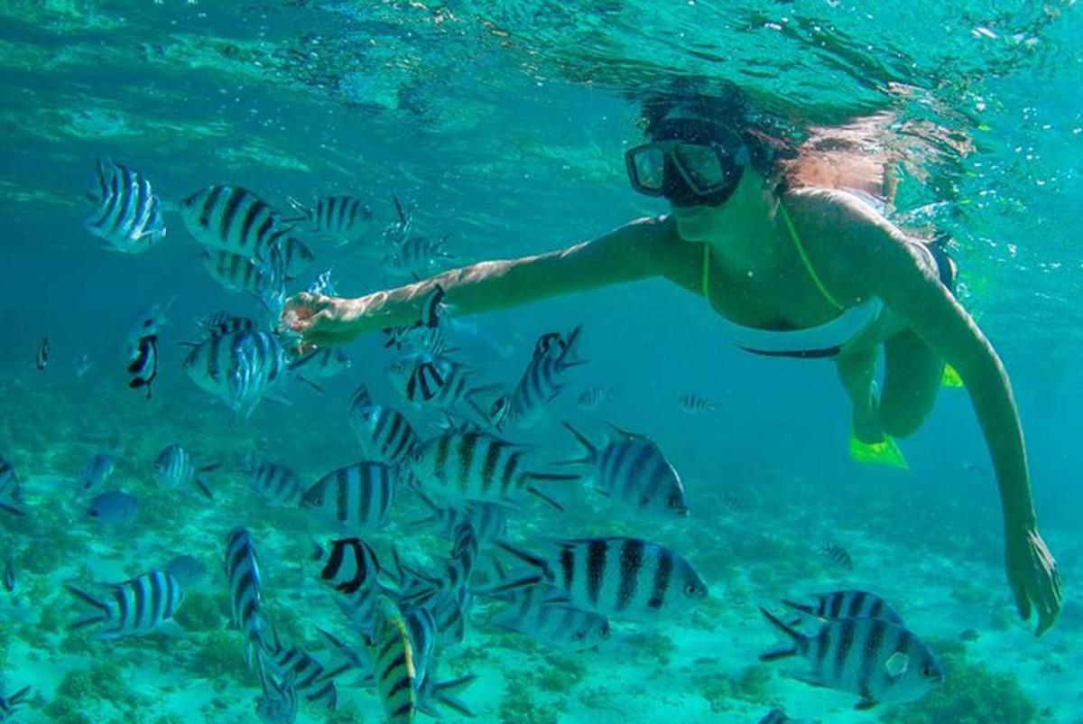 seseorang di dalam air dengan sekelompok ikan