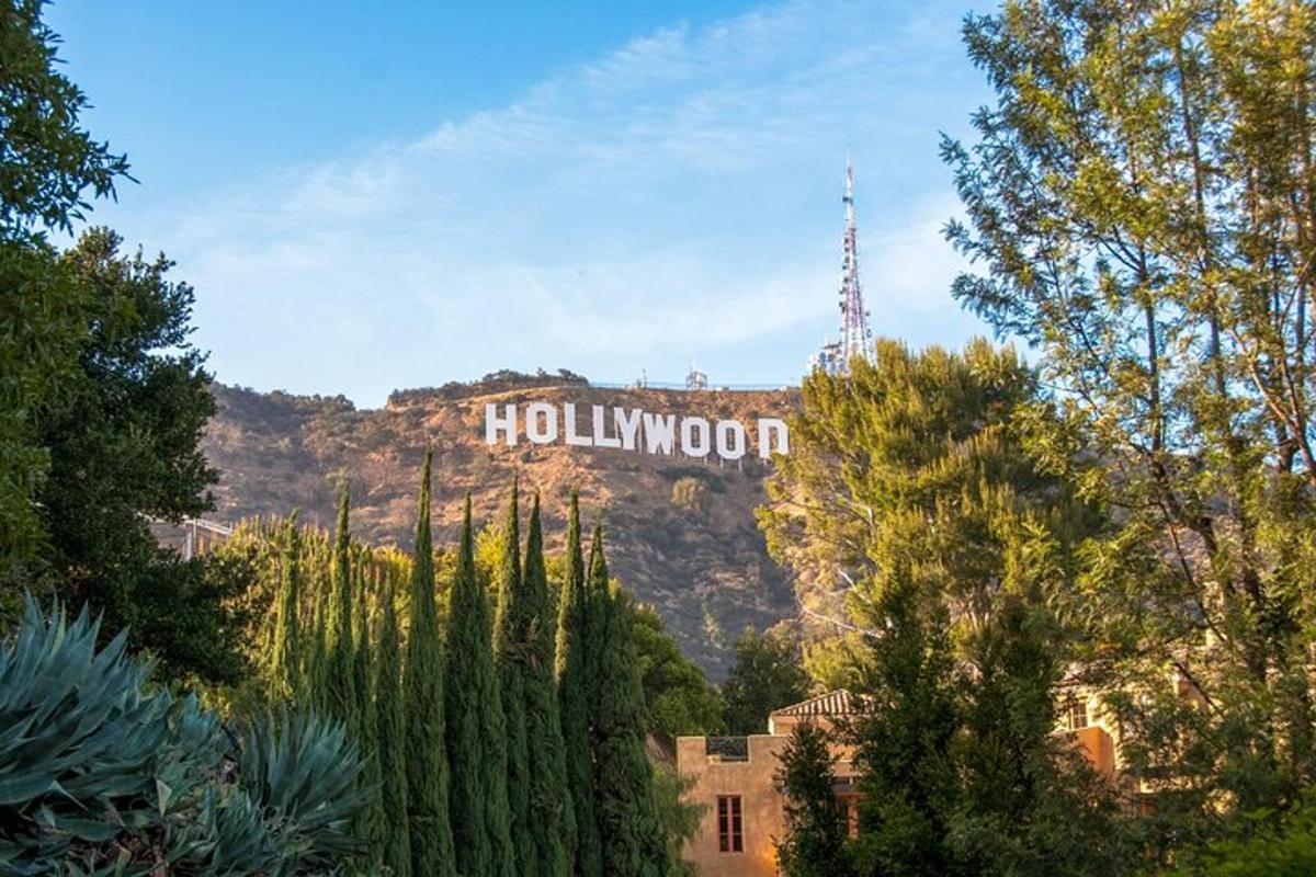 hollywoodský nápis na vrcholu hory