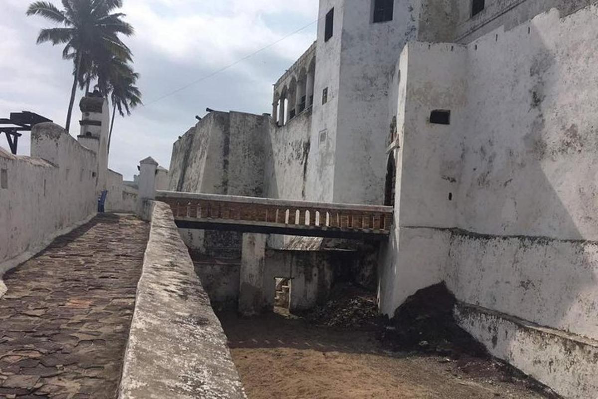 lorong dengan pokok palma di bangunan lama