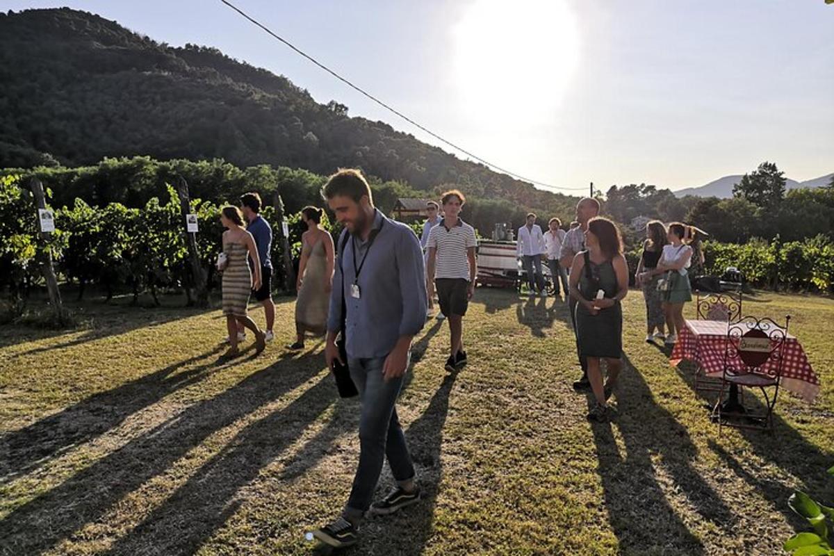 un gruppo di persone che camminano in un campo