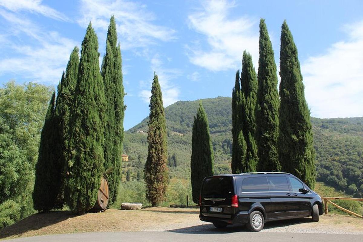 un SUV nero parcheggiato davanti a un gruppo di alberi